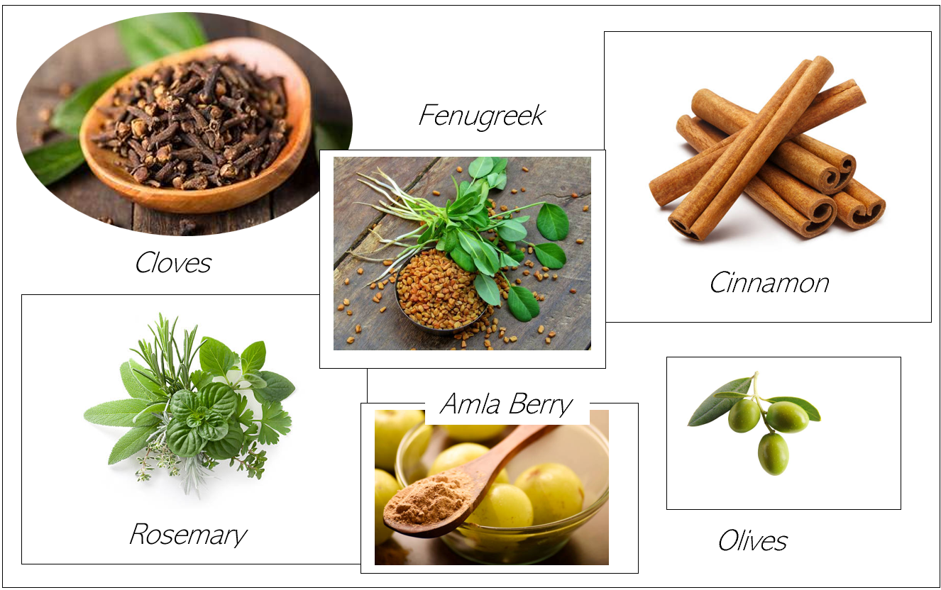 Growth Serum (Hair Growth Oil) image 5