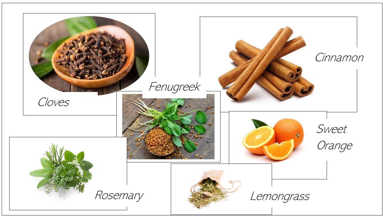 Strengthening Tonic (Hair Growth Treatment) image 4